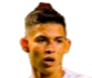 https://img.fy312.com/img/football/player/256dcd3c814bd8fea3fab644d67a539f.png