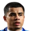 https://img.fy312.com/img/football/player/bd7833ad28a23f00751787d125266400.png