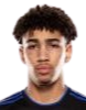 https://img.fy312.com/img/football/player/fb7fd3390bdc25307ce54843fe6472dd.png