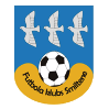 https://img.fy312.com/img/football/team/259a1106a33b56d2bb3c458a62ffa2ea.png